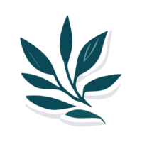 Olive leaf sticker. Outline icon for web and mobile png