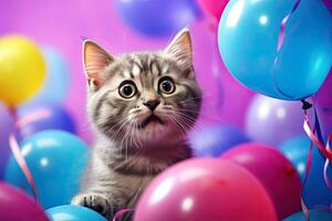 surprised little cat on solid bright background with colorful balloons. Generative AI photo
