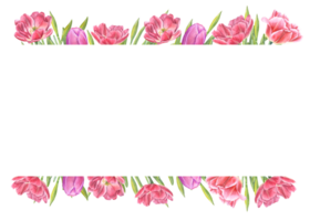 Watercolor horizontal frame of different pink tulips with copy space. Botanical illustration for create greeting design, invitation template png