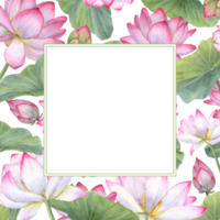 Square frame of blooming water lilies and green leaves. Lotus flowers, Indian lotus, leaf, bud. Space for text. Watercolor illustration. For greetings, package, label, invitation png