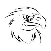 eagle head sketch line art. vector editable