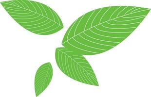 leaf leaves vector illustration