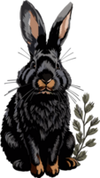 noir lapin ai génératif png