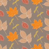 Hand drawn seamless pattern with various types of leaves - maple, ash, elm and maple seeds. White drawing contour and silhouettes in autumn colors for textile printing, wrapping paper, wallpapers. vector