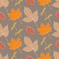 Hand drawn seamless pattern with various types of leaves - maple, ash, elm and maple seeds. White drawing contour and silhouettes in autumn colors for textile printing, wrapping paper, wallpapers. vector