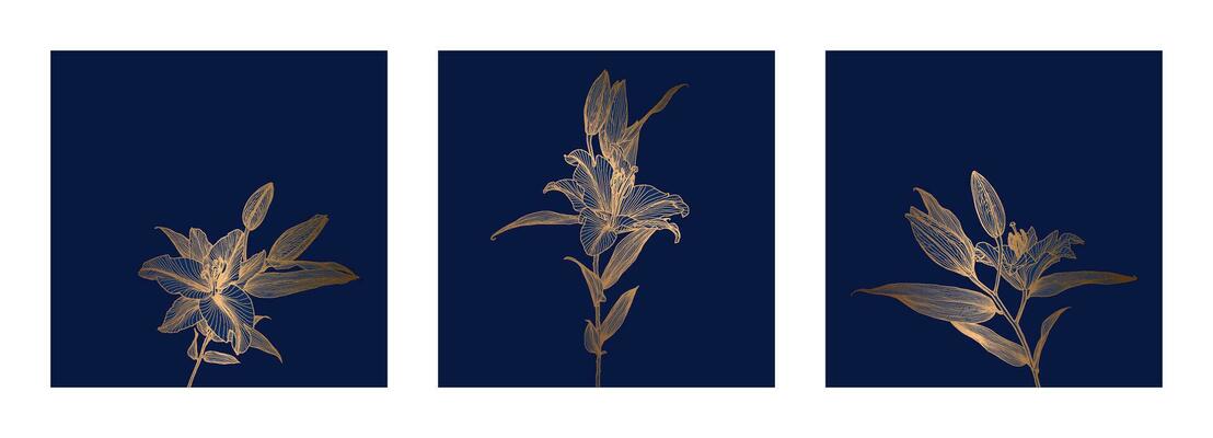 A set of frames of lily flowers linear drawings with bronze metallic outline on deep blue background. Design for print, poster, cover, banner, fabric, invitation, postcard and packaging.