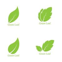 logotipos de vector de elemento de naturaleza ecología de hoja verde