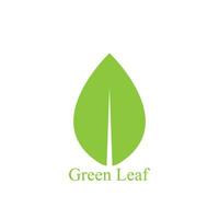 Logos of green leaf ecology nature element vector