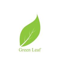 Logos of green leaf ecology nature element vector