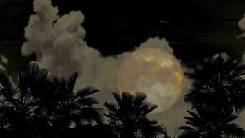 super sangue Luna passaggio indietro grigio nube su notte cielo e silhouette palma albero su il terra video