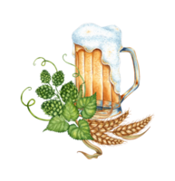 Watercolor illustration of beer in a mug with green hops, ears of wheat and grain. Harvest festival, beer festival. Compositions for posters, cards, banners, flyers, covers, png