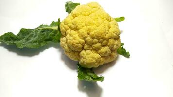 fresh cauliflower isolated background photo