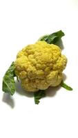 fresh cauliflower isolated background photo