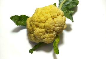 fresh cauliflower top view isolated background photo