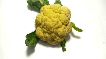 fresh cauliflower isolated background photo