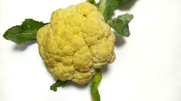 fresh cauliflower isolated background photo