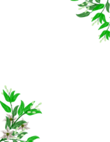 Leaf and flower frame. floral branch clipart png