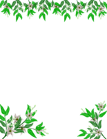 foglia e fiore telaio. floreale ramo clipart png