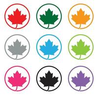 canadiense arce hoja muchos colores icono vector modelo