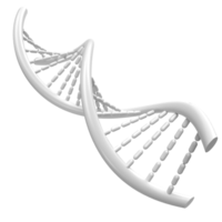 The DNA image for sci or education concept 3d rendering png