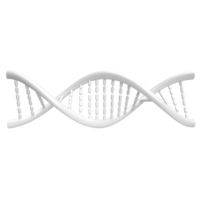 el adn imagen para ciencia o educación concepto 3d representación png