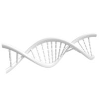 The DNA image for sci or education concept 3d rendering png
