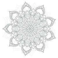 Circular pattern in form of decorative mandala design vector