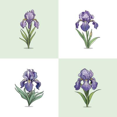 iris flower vector clip art illustration