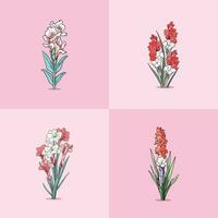 gladiolus vector clip art illustration