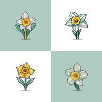 daffodil vector clip art illustration