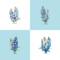 delphinium vector clip art illustration