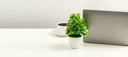 Behind a laptop, vase, and coffee cup, placed on a white desk in an office. Working concept using technology, smartphone, notebook, internet, copy space on left, closeup, gray and blurred background photo