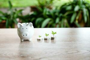 blanco cerdito bancos y arboles en el monedas en el mesa madera dinero ahorro concepto inversión presupuesto riqueza negocio, financiero. selectivo atención en cerdito bancos. cerca arriba un foto, borroso verde antecedentes foto