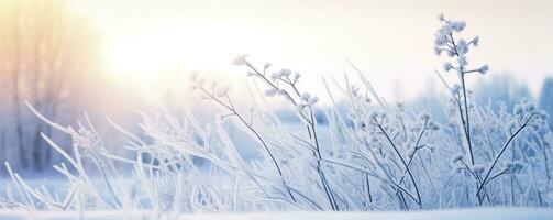 Frozen snowy grass, winter natural abstract background. beautiful winter landscape. AI Generated photo