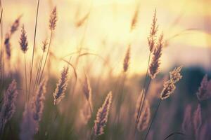 Wild grass in the forest at sunset. Abstract summer nature background. Generative AI photo