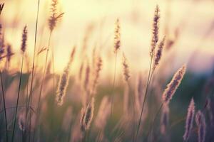 Wild grass in the forest at sunset. Abstract summer nature background. Generative AI photo