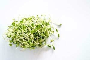 Top View, Many sunflower seedlings on a white background table. Sunflower seedlings are highly nutritious and nutrition. Can prevent many diseases. Close-up, copy space on right for design or text. photo