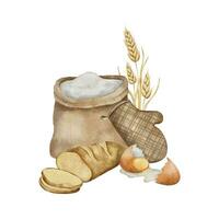 Flour sack, potholder, bunch of spikelets of wheat, rye, grains, the broken shell of a chicken egg and sliced fresh bread. Hand drawn watercolor illustration for package, poster, bakery labels vector