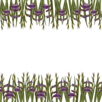 vattenfärg gladioler sömlös baner, mönster. blommig ram med violett blommor, knoppar, löv. hand målad illustration. design för bröllop, inbjudningar, hälsning kort png