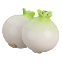 Cartoon fresh two white onion vegetable isolated. 3d render illustration. png