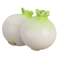 Cartoon fresh two white onion vegetable isolated. 3d render illustration. png