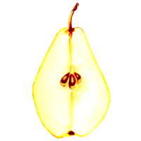 Watercolor yellow pears half with seeds. Hand drawn illustration  for design, holiday invitations and card,  decorations, making stickers, embroidery and packaging, textile. png