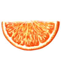 Watercolor illustration of orange slice. Hand drawn illustration  for design, holiday invitations and card, decorations, making stickers, embroidery and  packaging, textile. png