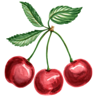 Red cherry with branch and green leaves. Hand drawn illustration  for design, holiday invitations and card,  decorations, making stickers, embroidery and packaging png