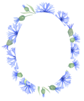 Frame with cornflower flowers. Watercolor illustration png