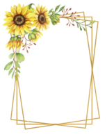 kader met zonnebloemen, geel bloemen, bloemen illustratie png