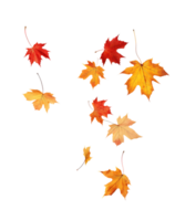 autumn leaves falling isolated ai generative png