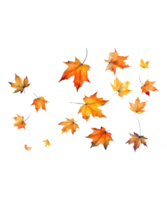 autumn leaves falling isolated ai generative png