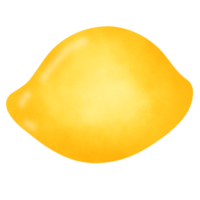 vibrerande gul citron- illustrationer - handmålad vattenfärg ClipArt png