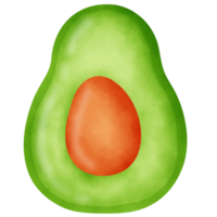 konstnärlig vattenfärg avokado ClipArt - färsk digital frukt illustrationer png